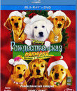 Рождественская пятерка [Blu-ray] / Santa Buddies